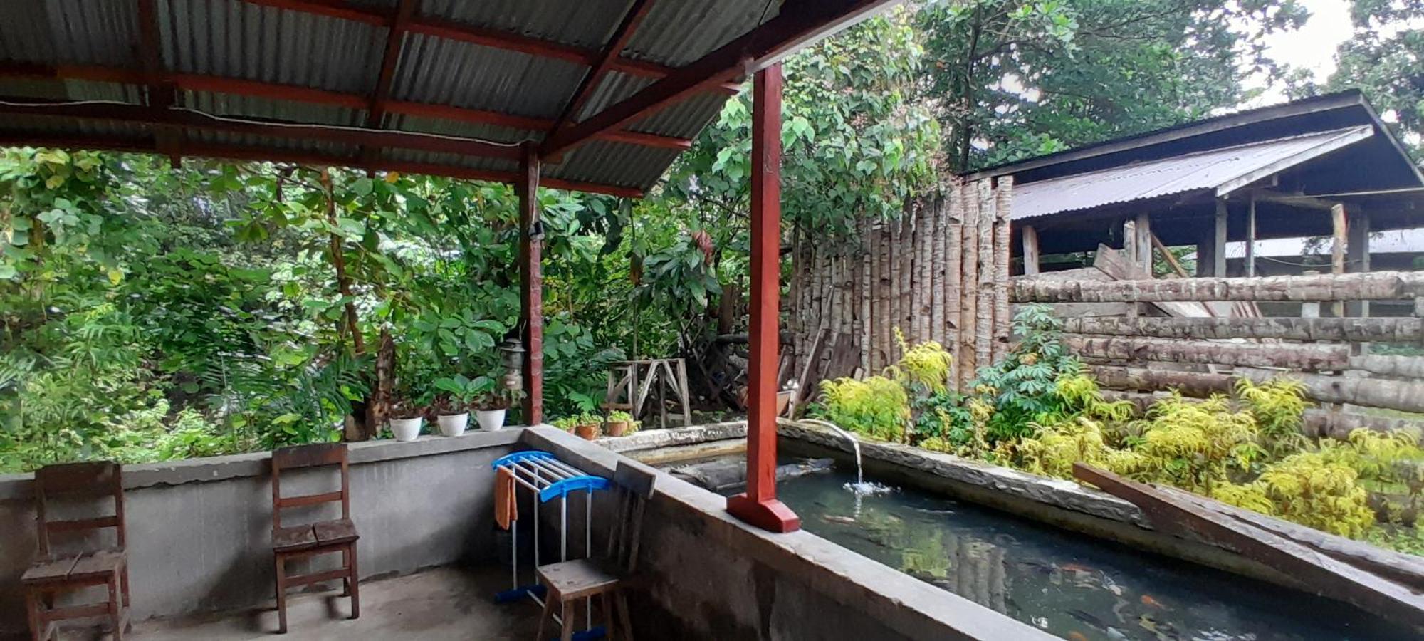 Renny'S Tangkoko Safety Stop Bitung Luaran gambar