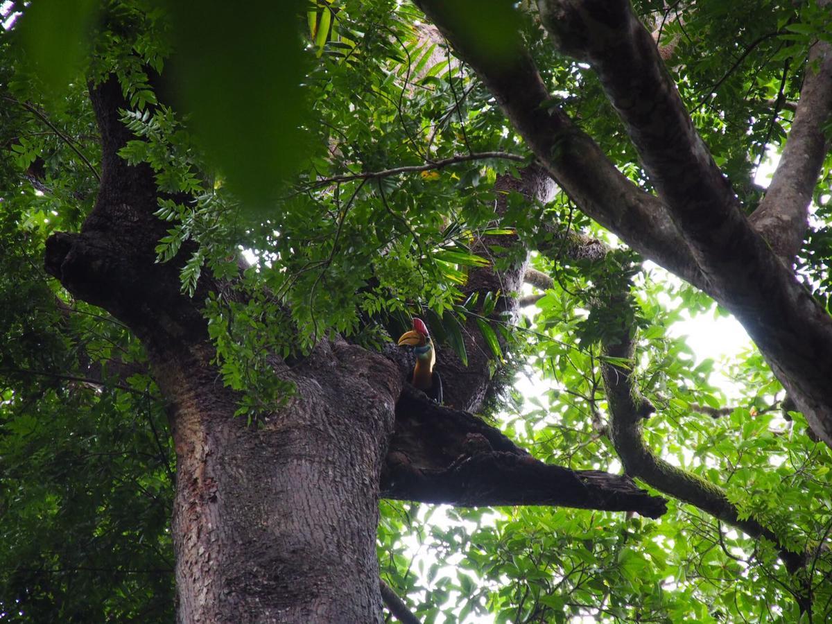 Tangkoko Safety Stop Bitung Luaran gambar